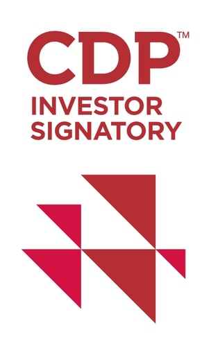 CDP-INVESTOR-2019